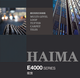 Ковровая плитка Haima E4000